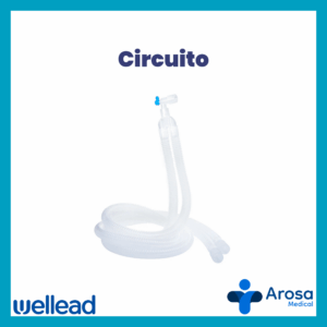 Circuito